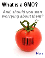 The reason for GMOs was originally pure, to feed starving nations and make them more self reliant. But, are they safe? The U.S. has no laws to regulate them.